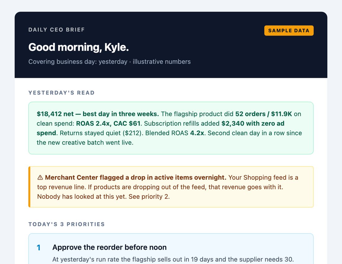 Sample daily CEO report from the AI Playbook