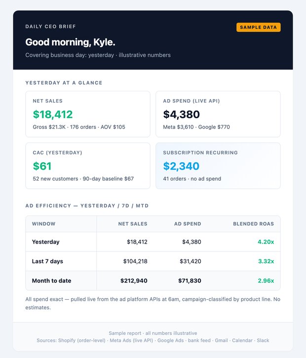 Sample CEO report metrics section